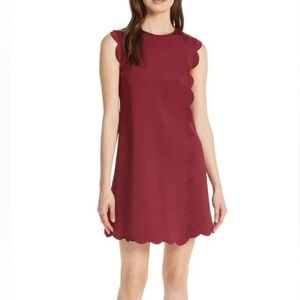 Ted Baker London Jasmint Scallop Overlay Dress Size 4 Large